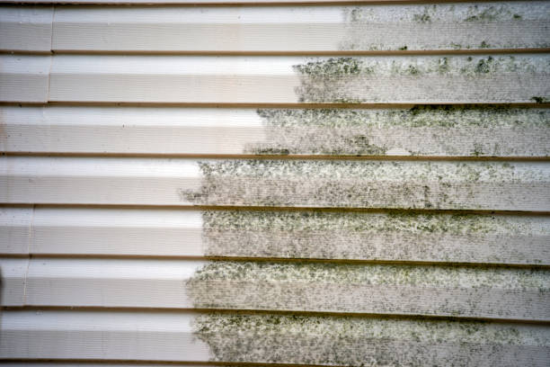 Best Stucco Siding  in East Newark, NJ