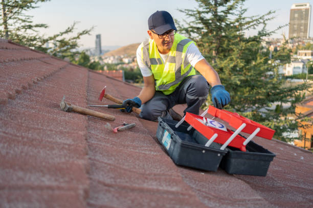 Best Siding Painting and Refinishing  in East Newark, NJ