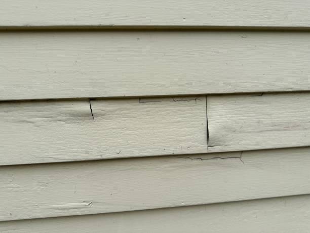 Best Siding Removal and Disposal  in East Newark, NJ